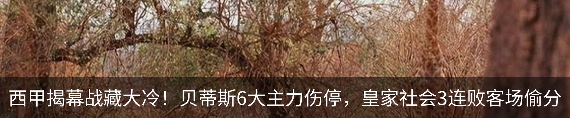 资讯动态